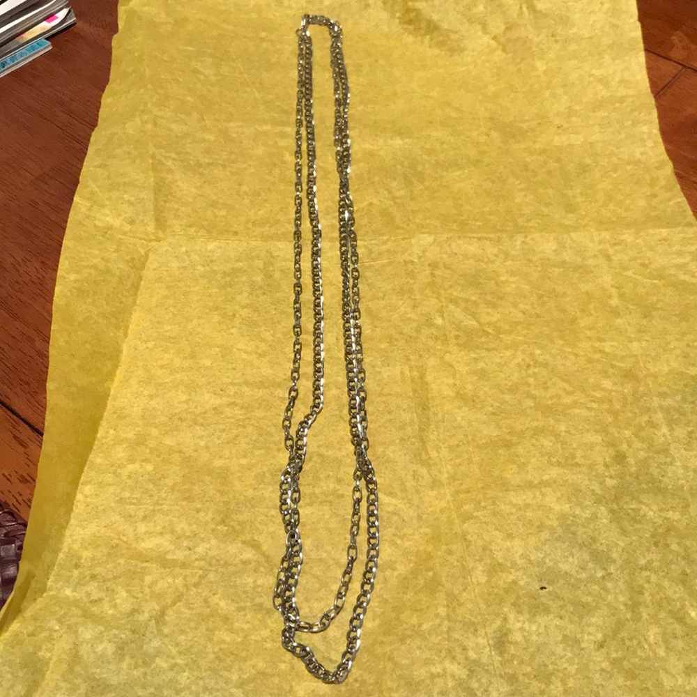 **4 for $30**. Silver double chain necklace!